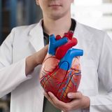 Athina Ioanni Martinou Chair at the University of Athens Invites Doctoral Candidates to Pursue Research in Cardiovascular Medicine